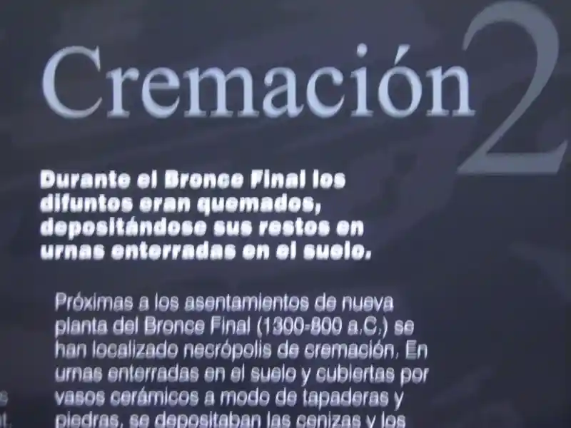 Cremation during late bronze age